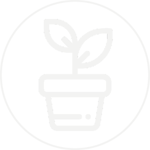 Vivai Zilio Saonara PD- Piante da frutto e ornamentali in vaso