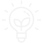 Vivai Zilio a Saonara Pd - Innovazione costante